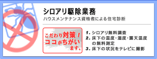 シロアリ駆除業務